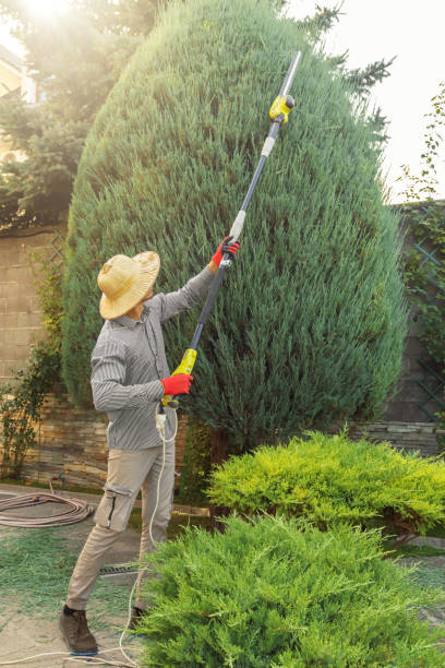 Best Arborist Consultation Services  in Grandville, MI